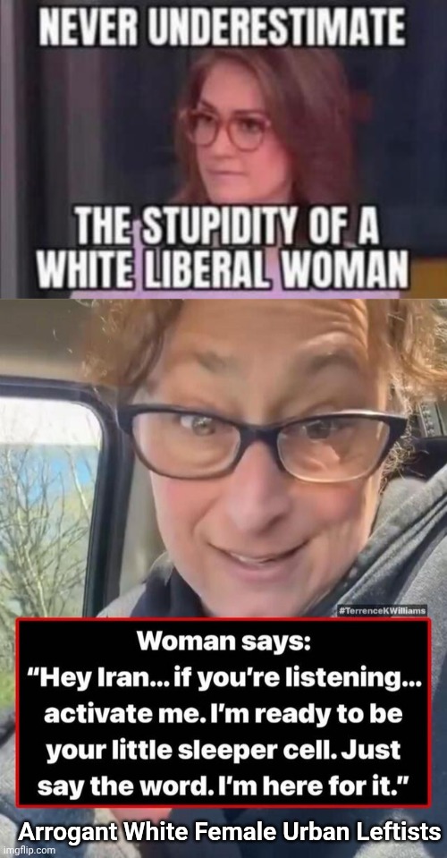 AEFUL Lib women | Arrogant White Female Urban Leftists | image tagged in awful,liberal college girl | made w/ Imgflip meme maker