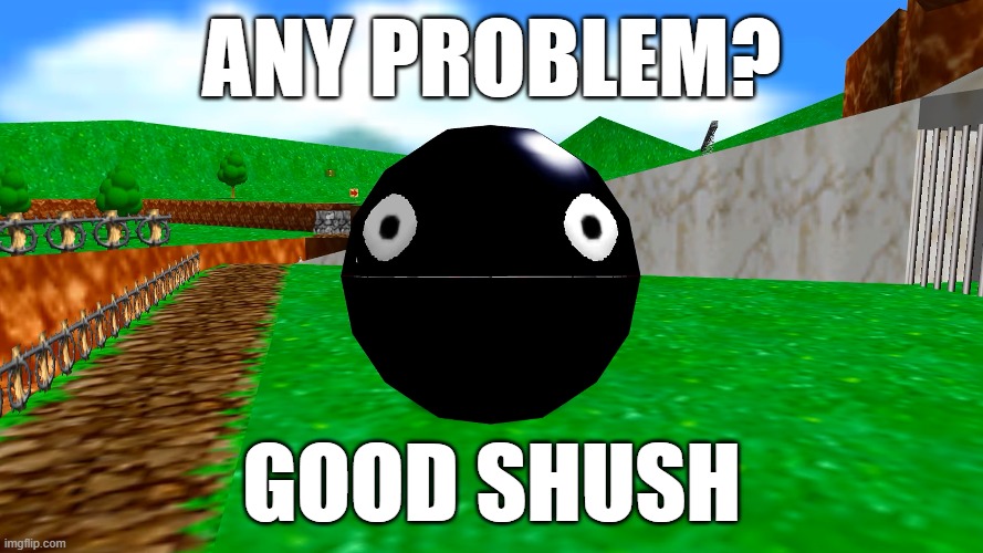 Any Problems? | any problem? good shush | image tagged in chain,chomp,super mario 64 | made w/ Imgflip meme maker