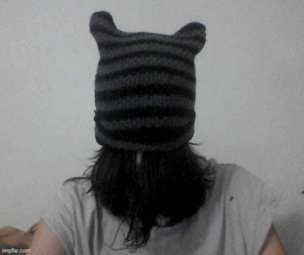 got one of those cat ear hats but my head's too big and it just kinda looks stupid | made w/ Imgflip meme maker