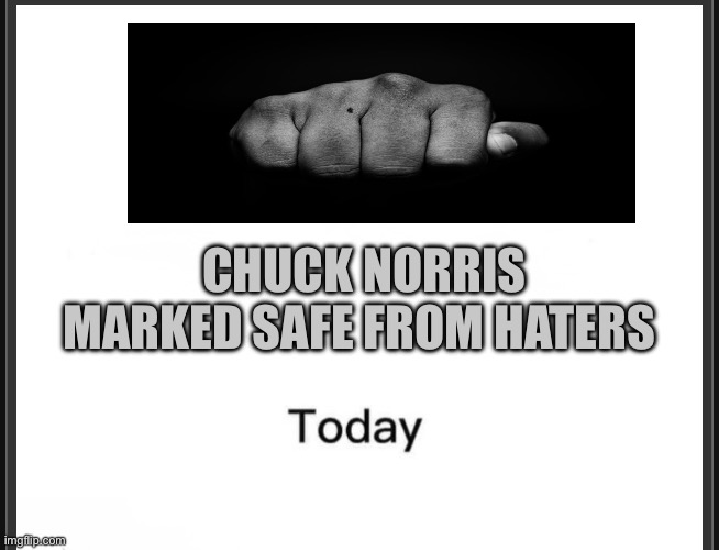 Chuck Norris marked safe from… | Chuck Norris marked safe from haters | image tagged in chuck norris marked safe from | made w/ Imgflip meme maker