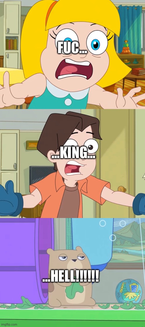 BIG TIME reaction image | FUC…; …KING…; …HELL!!!!!! | image tagged in hamster and gretel scream,reaction,big time,breakdown,gordon ramsay | made w/ Imgflip meme maker