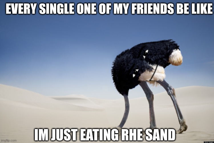 sand | Every single one of my friends be like; im just eating rhe sand | image tagged in ostrich head in sand | made w/ Imgflip meme maker