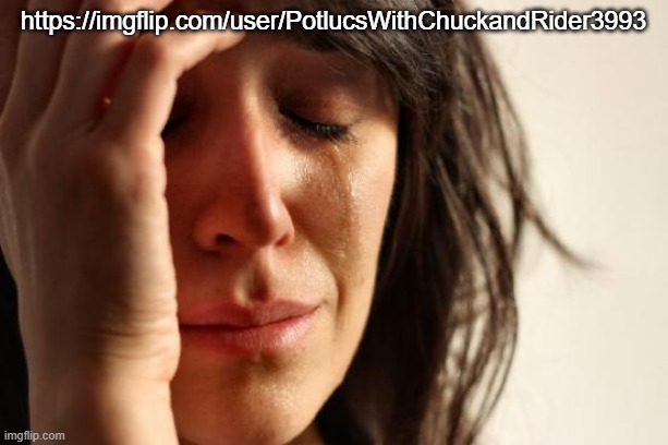 First World Problems | https://imgflip.com/user/PotlucsWithChuckandRider3993 | image tagged in memes,first world problems | made w/ Imgflip meme maker