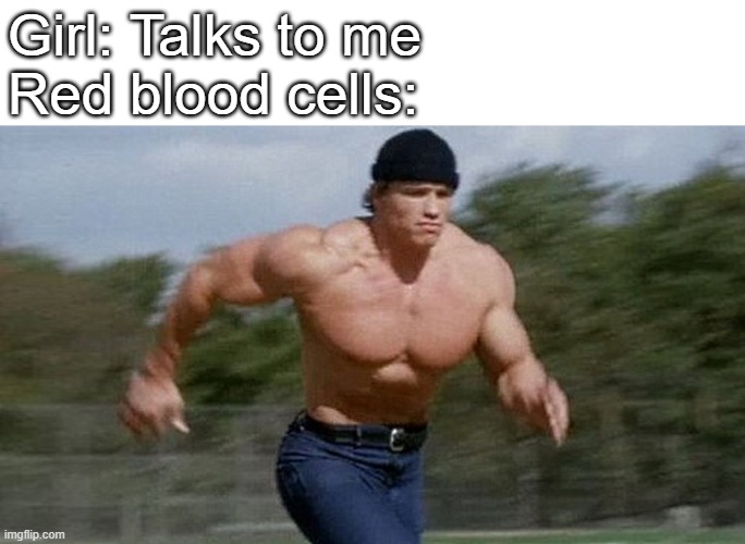 Running Arnold | Girl: Talks to me
Red blood cells: | image tagged in running arnold | made w/ Imgflip meme maker