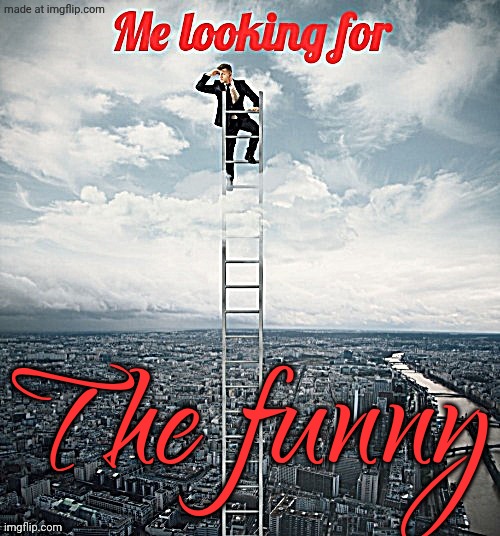 Searching | The funny | image tagged in searching | made w/ Imgflip meme maker