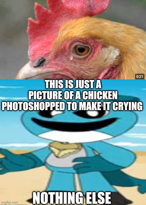 Me Ruining A Fill In Meme #550 | This is just a picture of a chicken Photoshopped to make it crying; Nothing else | image tagged in ruin this fill in meme 550 | made w/ Imgflip meme maker