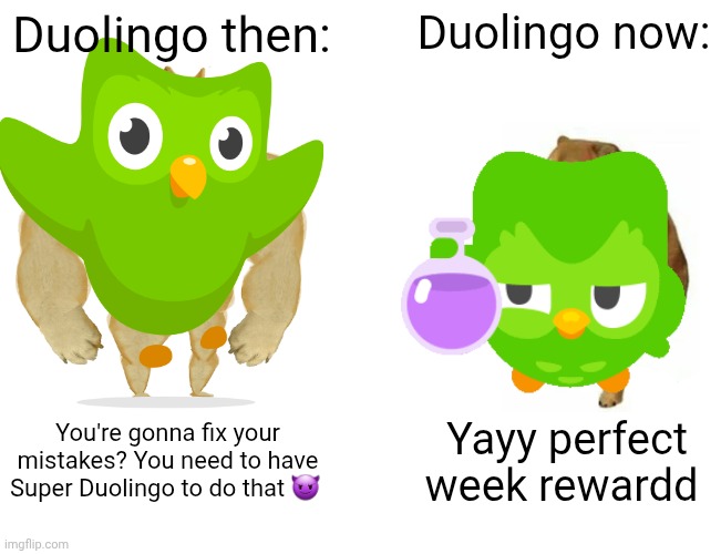 The green bird has become decent... | Duolingo then:; Duolingo now:; You're gonna fix your mistakes? You need to have Super Duolingo to do that 😈; Yayy perfect week rewardd | image tagged in memes,buff doge vs cheems | made w/ Imgflip meme maker