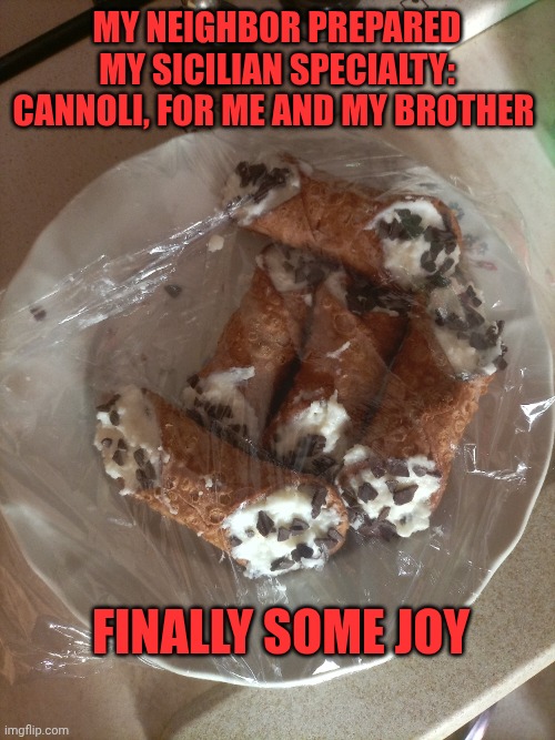 My Sicilian cannoli | My neighbor prepared my Sicilian specialty: cannoli, for me and my brother; Finally Some joy | made w/ Imgflip meme maker