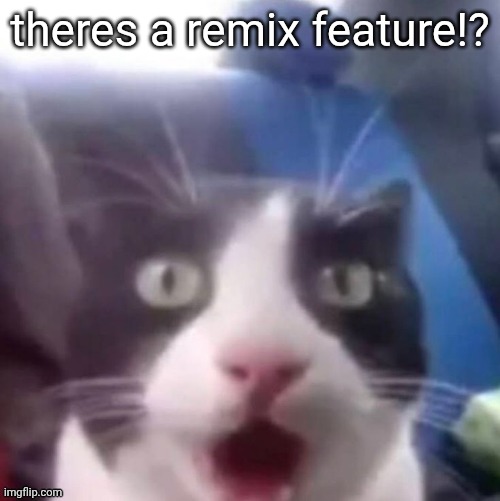 cat shocked | theres a remix feature!? | image tagged in cat shocked | made w/ Imgflip meme maker