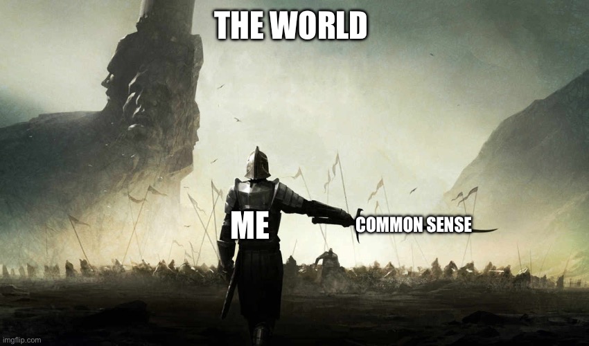 Where did it all go? | The world; Me; Common sense | image tagged in the world is against me | made w/ Imgflip meme maker