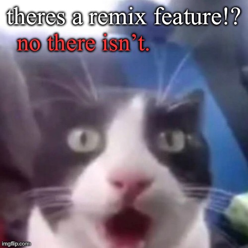 cat shocked | theres a remix feature!? no there isn’t. | image tagged in cat shocked,msmg | made w/ Imgflip meme maker