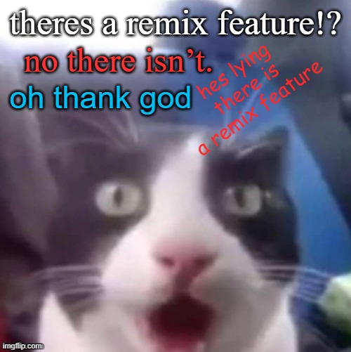 cat shocked | theres a remix feature!? hes lying there is a remix feature; no there isn’t. oh thank god | image tagged in cat shocked | made w/ Imgflip meme maker