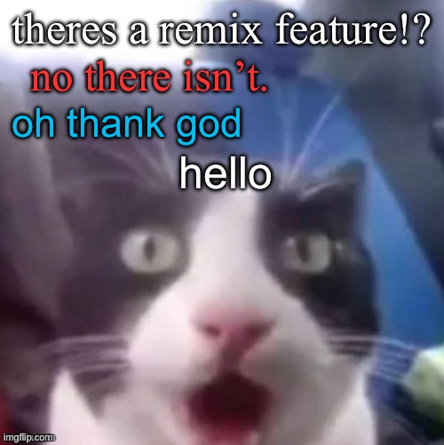 cat shocked | theres a remix feature!? no there isn’t. oh thank god; hello | image tagged in cat shocked | made w/ Imgflip meme maker