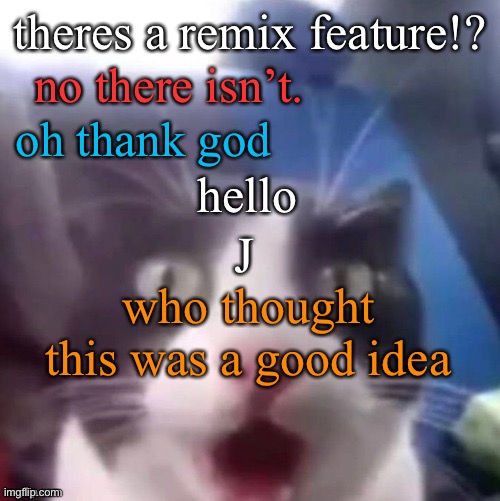 cat shocked | theres a remix feature!? no there isn’t. oh thank god; hello; J; who thought this was a good idea | image tagged in cat shocked | made w/ Imgflip meme maker