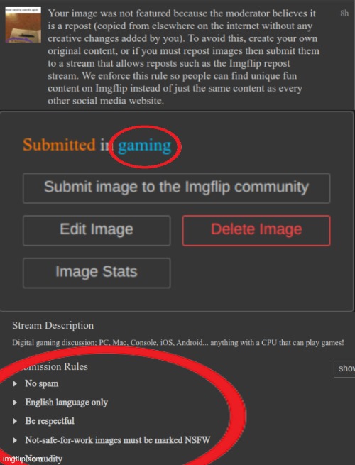 If reposting isn't allowed, why isn't it mentioned in the rules? | image tagged in gaming | made w/ Imgflip meme maker