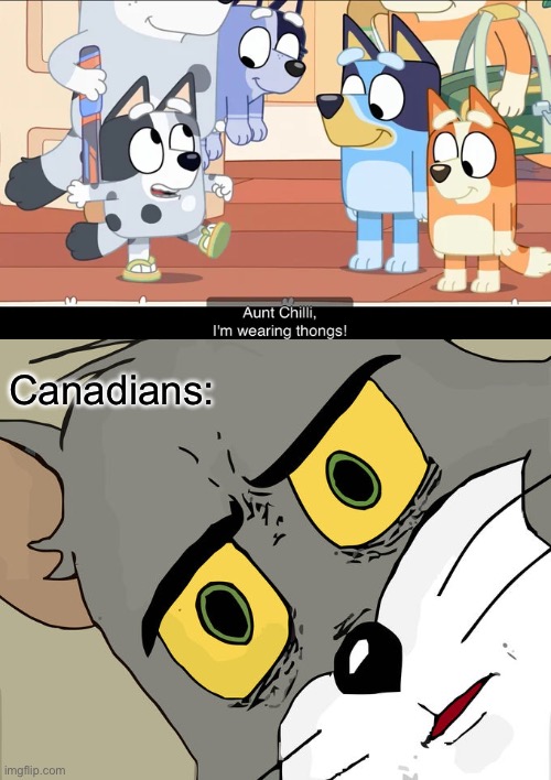 Muffin wearing thongs | Canadians: | image tagged in memes,unsettled tom,bluey | made w/ Imgflip meme maker