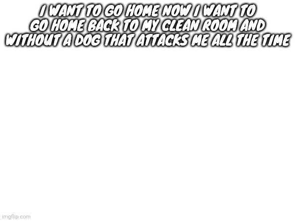At least it's Sunday tomorrow and I can go home then | I want to go home now I want to go home back to my clean room and without a dog that attacks me all the time | made w/ Imgflip meme maker
