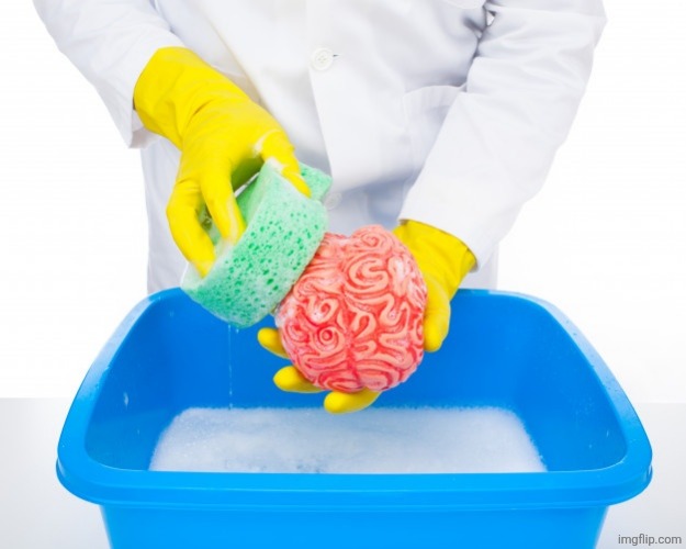 Brainwashing | image tagged in brainwashing | made w/ Imgflip meme maker