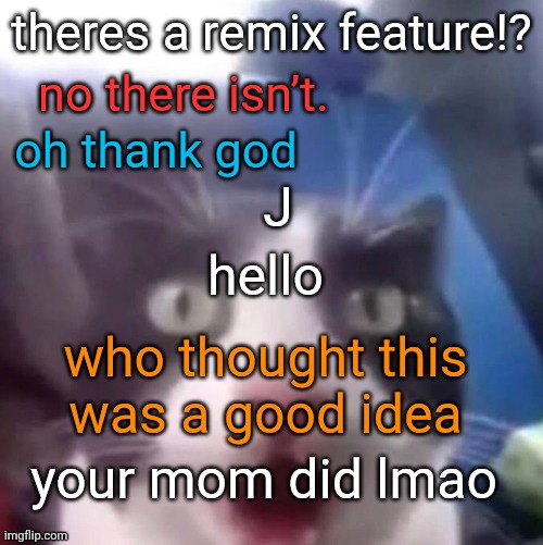 cat shocked | theres a remix feature!? no there isn’t. oh thank god; J; hello; who thought this
was a good idea; your mom did lmao | image tagged in cat shocked | made w/ Imgflip meme maker