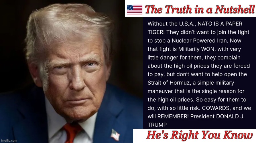 DJT | The Truth in a Nutshell; He's Right You Know | image tagged in made in usa,donald trump,strength,he's right you know,nato,it is hard to argue with his assessment | made w/ Imgflip meme maker
