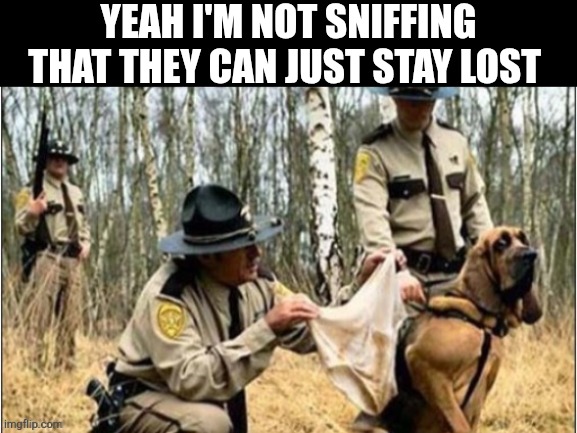 Yeah I'm Not Sniffing That | Yeah I'm not sniffing that they can just stay lost | image tagged in chrisjoines1 | made w/ Imgflip meme maker
