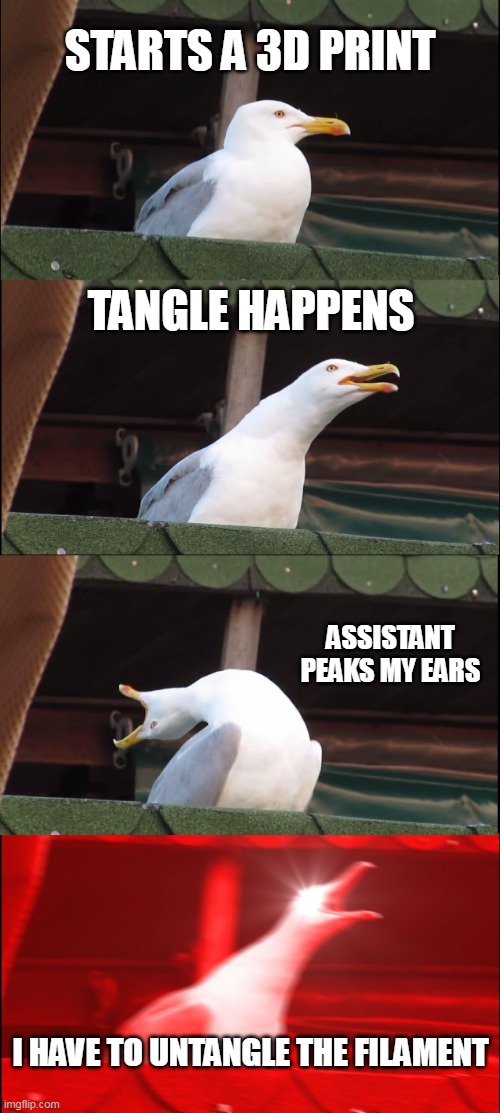 ;-; | starts a 3d print; tangle happens; assistant peaks my ears; i have to untangle the filament | image tagged in memes,inhaling seagull | made w/ Imgflip meme maker