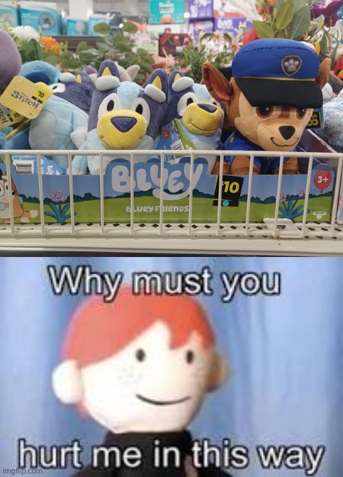 I don't even watch Bluey but c'mon man | image tagged in why must you hurt me in this way,bluey,toys,toy,memes,you had one job | made w/ Imgflip meme maker