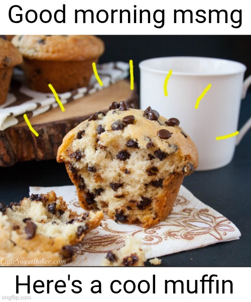 all for you | Good morning msmg; Here's a cool muffin | image tagged in good morning,msmg,muffin,cool,chocolate,breakfast | made w/ Imgflip meme maker