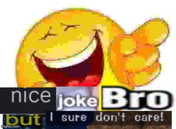 nice joke bro | image tagged in nice joke bro | made w/ Imgflip meme maker
