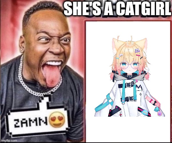 Zamn | SHE'S A CATGIRL | image tagged in zamn | made w/ Imgflip meme maker
