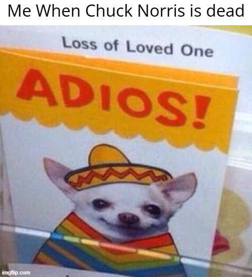 Adios Chuck Norris | Me When Chuck Norris is dead | image tagged in chihuahua adios | made w/ Imgflip meme maker