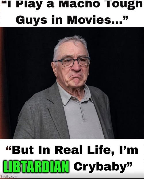 Demnirocrat | Libtardian | image tagged in robert deniro | made w/ Imgflip meme maker