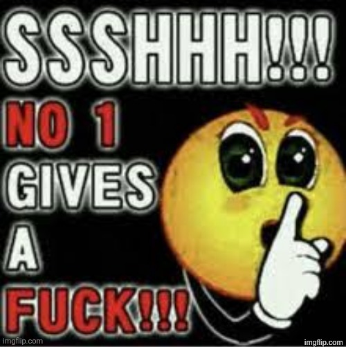 SSSHHH!!! NO 1 GIVES A FUCK!!! | image tagged in ssshhh no 1 gives a fuck | made w/ Imgflip meme maker