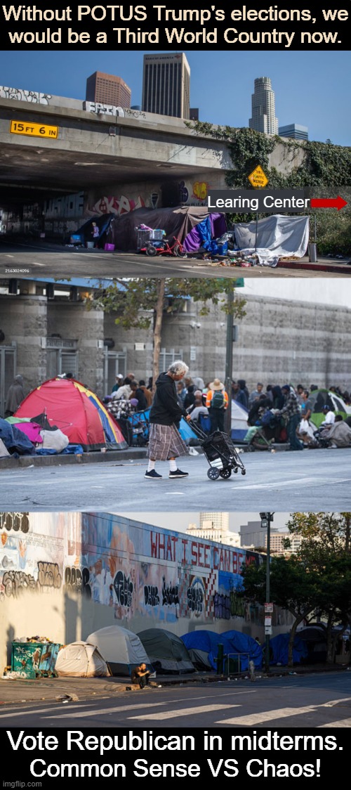 'America Is Awesome vs. America Is Awful' -- Kurt Schlichter | Without POTUS Trump's elections, we
would be a Third World Country now. Learing Center; Vote Republican in midterms. Common Sense VS Chaos! | image tagged in third world,america,good vs evil,awesome,awful,vote republican | made w/ Imgflip meme maker