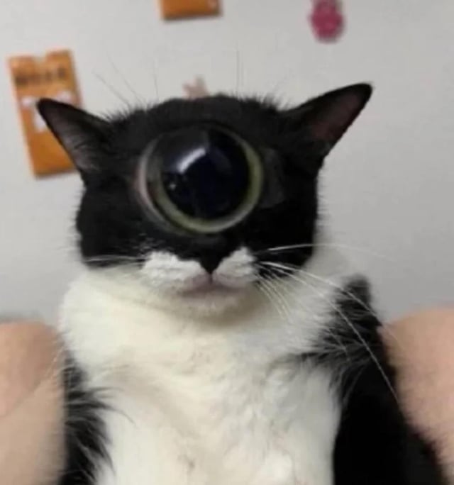 the ominous and menacing cyclops Blank Meme Template