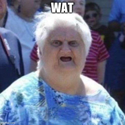 WAT Lady | Wat | image tagged in wat lady | made w/ Imgflip meme maker