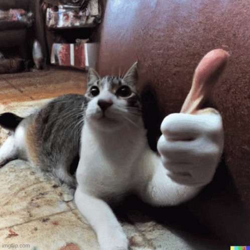 cat with a thumbs up | image tagged in cat with a thumbs up | made w/ Imgflip meme maker