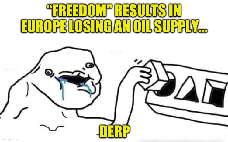 Stupid dumb drooling puzzle | “freedom" results in europe losing an oil supply... Derp | image tagged in stupid dumb drooling puzzle | made w/ Imgflip meme maker