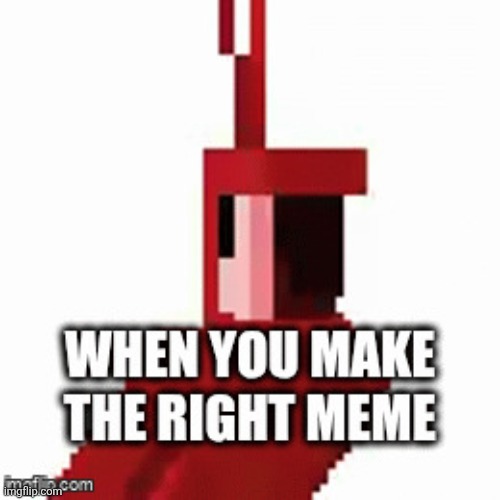 Not a gif | image tagged in parrot,gifs | made w/ Imgflip meme maker