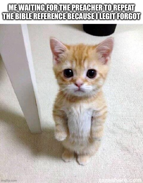 Then you also have to find the reference in the Bible | Me waiting for the preacher to repeat the Bible reference because I legit forgot | image tagged in memes,cute cat,bible,reference | made w/ Imgflip meme maker
