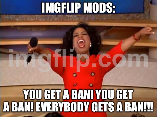 Oprah You Get A Meme | imgflip mods:; YOU GET A ban! YOU GET A ban! EVERYBODY GETS a ban!!! | image tagged in memes,oprah you get a | made w/ Imgflip meme maker
