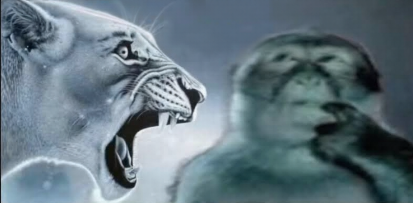 Angry Lion And Silly Monkey Blank Meme Template