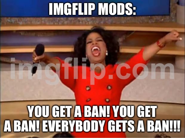 Oprah You Get A | imgflip mods:; YOU GET A ban! YOU GET A ban! EVERYBODY GETS a ban!!! | image tagged in memes,oprah you get a | made w/ Imgflip meme maker