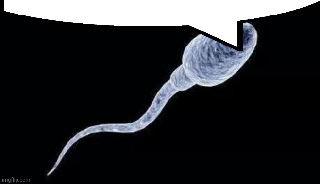 image tagged in da sperm | made w/ Imgflip meme maker