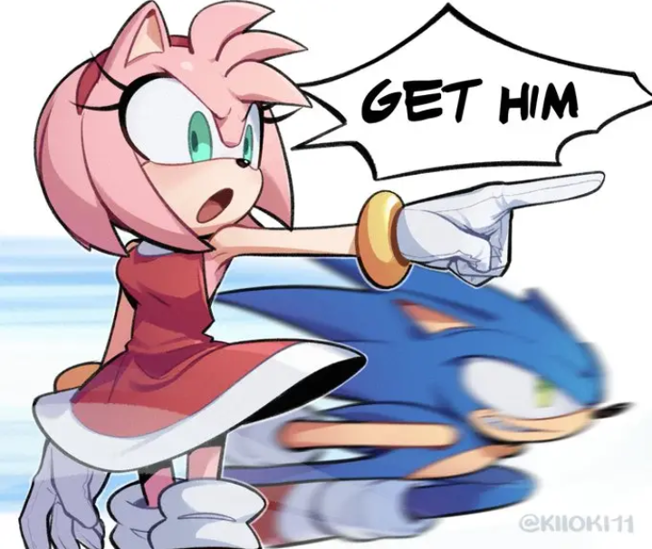 Sic em, Sonic! Blank Meme Template