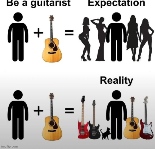 Guitarists | image tagged in guitar,music | made w/ Imgflip meme maker