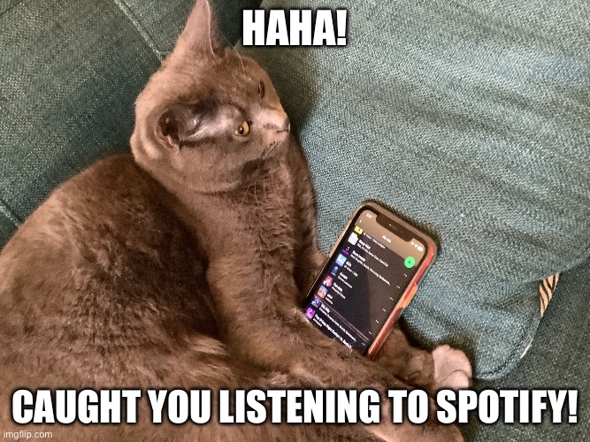 I made a meme template, pls use it sometime pls | HAHA! Caught you listening to Spotify! | image tagged in cat with spotify | made w/ Imgflip meme maker