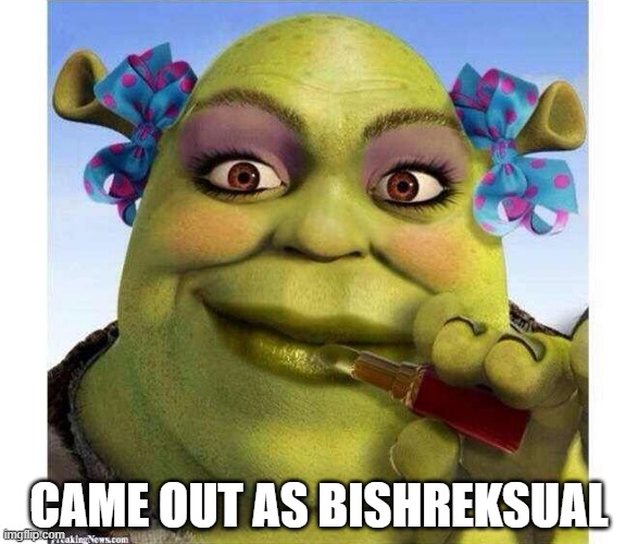Cursed Shrek | came out as bishreksual | image tagged in cursed image | made w/ Imgflip meme maker