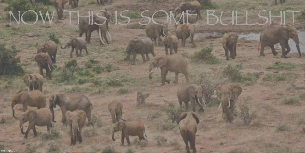 now this is some bs | image tagged in now this is some bs | made w/ Imgflip meme maker