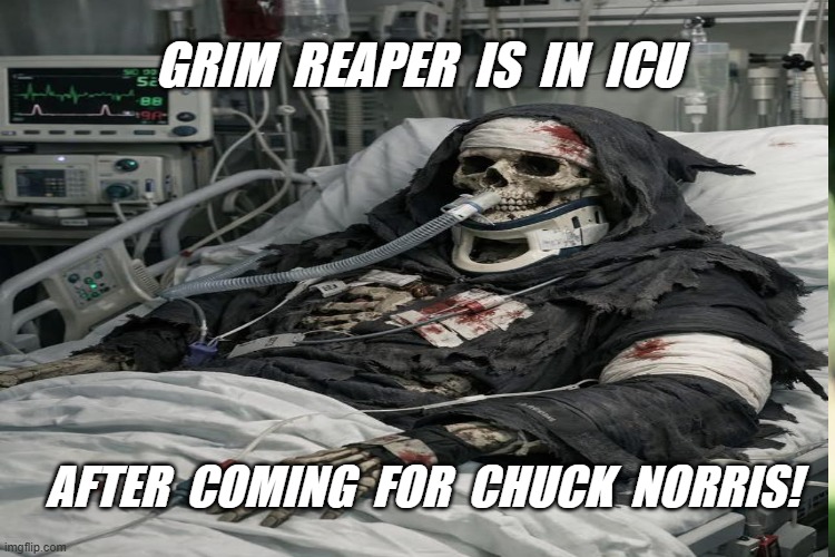 Chuck Norris | Grim  Reaper  is  in  icu; after  coming  for  chuck  norris! | image tagged in grim reaper | made w/ Imgflip meme maker